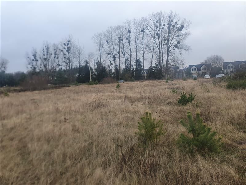 Działka budowlana Bojano, ul. Miedziana. Zdjęcie 5