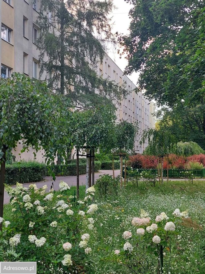 Mieszkanie 3-pokojowe Warszawa Praga-Południe, ul. Afrykańska. Zdjęcie 4