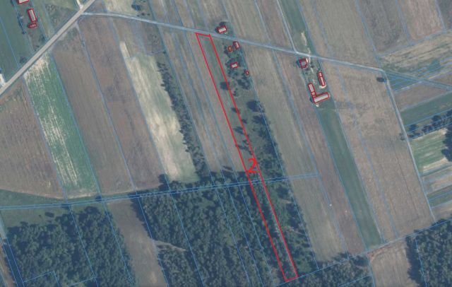Działka rolno-budowlana Sitno. Zdjęcie 2