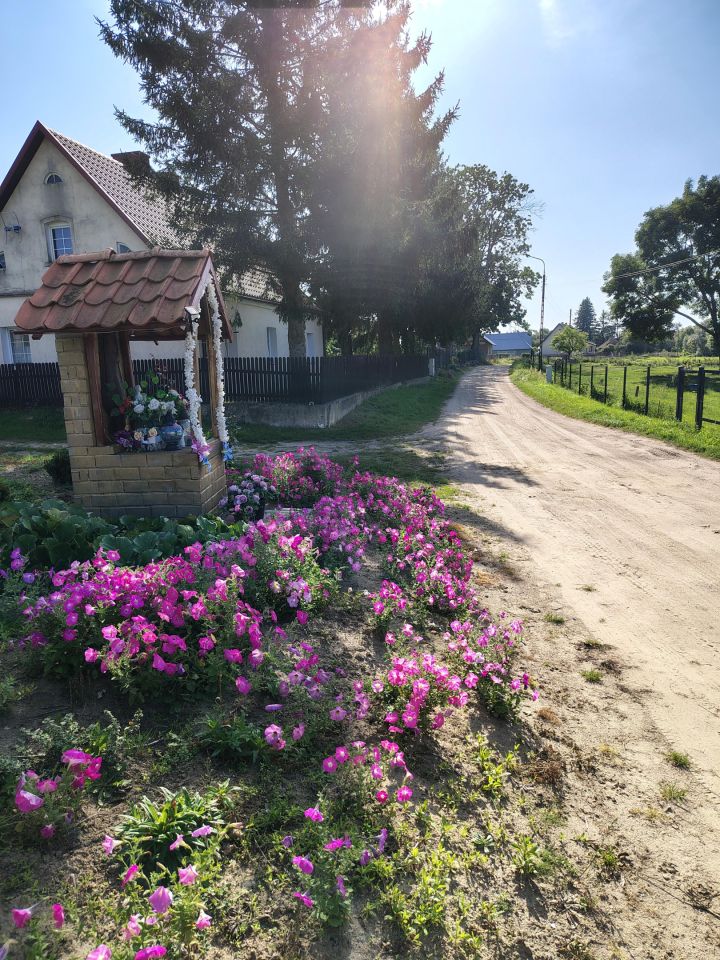 Działka budowlana Zabielne. Zdjęcie 10