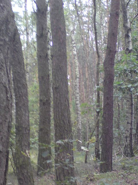 Działka budowlana Ługi. Zdjęcie 2