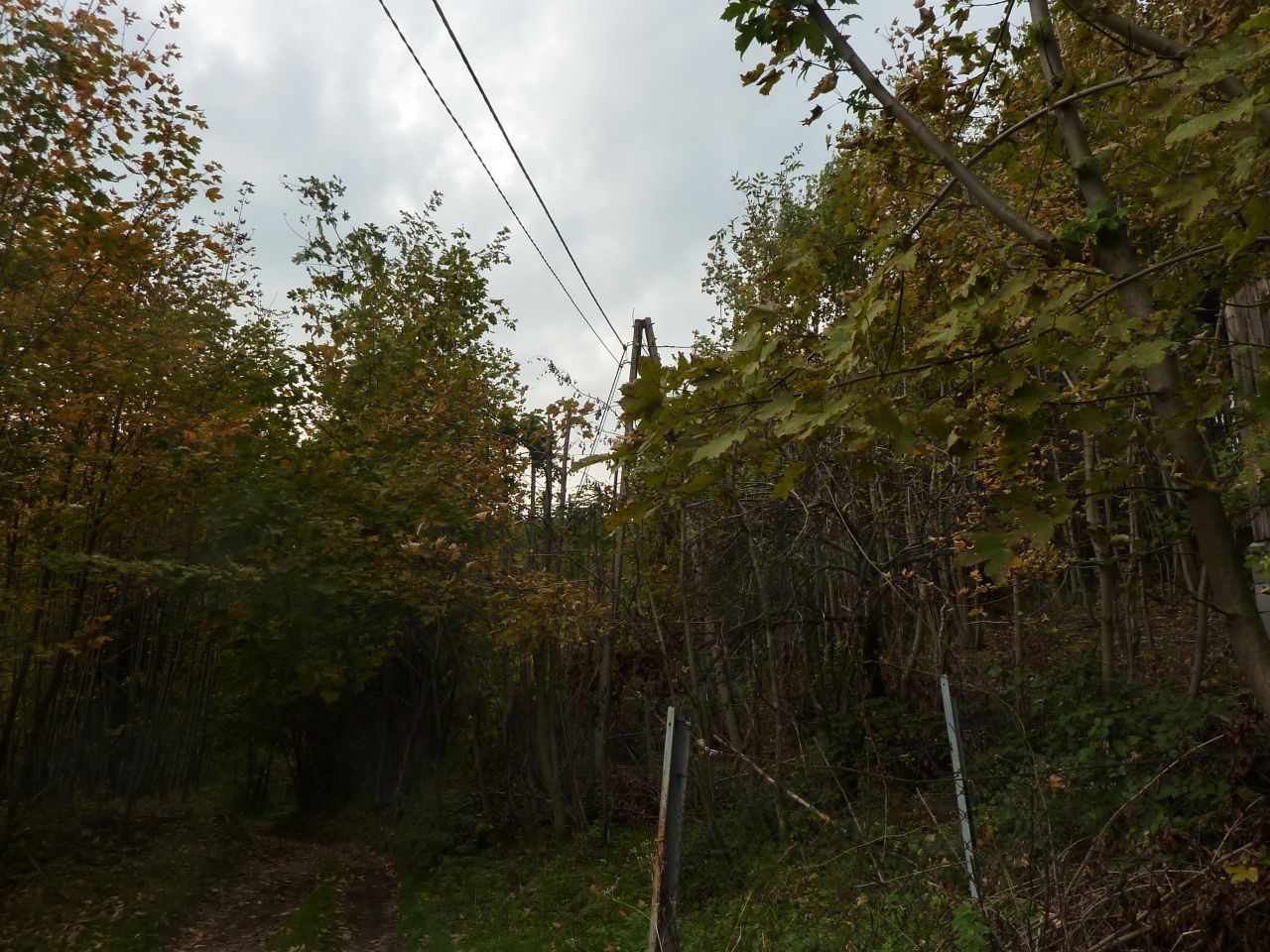 Działka rolna Pewel Wielka Garleje. Zdjęcie 28