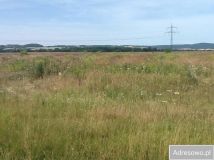 Działka inwestycyjna Paszowice. Zdjęcie 1