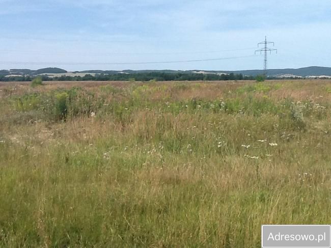 Działka inwestycyjna Paszowice. Zdjęcie 2