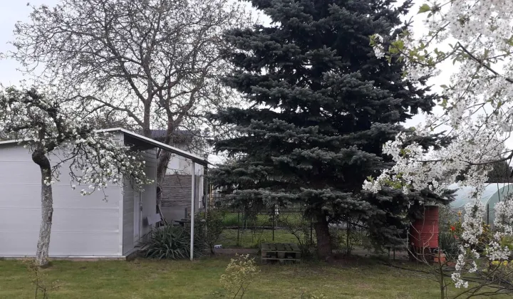 Działka rod Września, ul. Działkowców