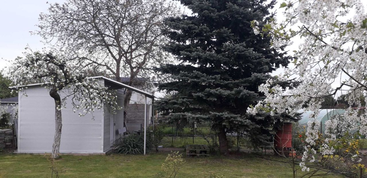 Działka rod Września, ul. Działkowców