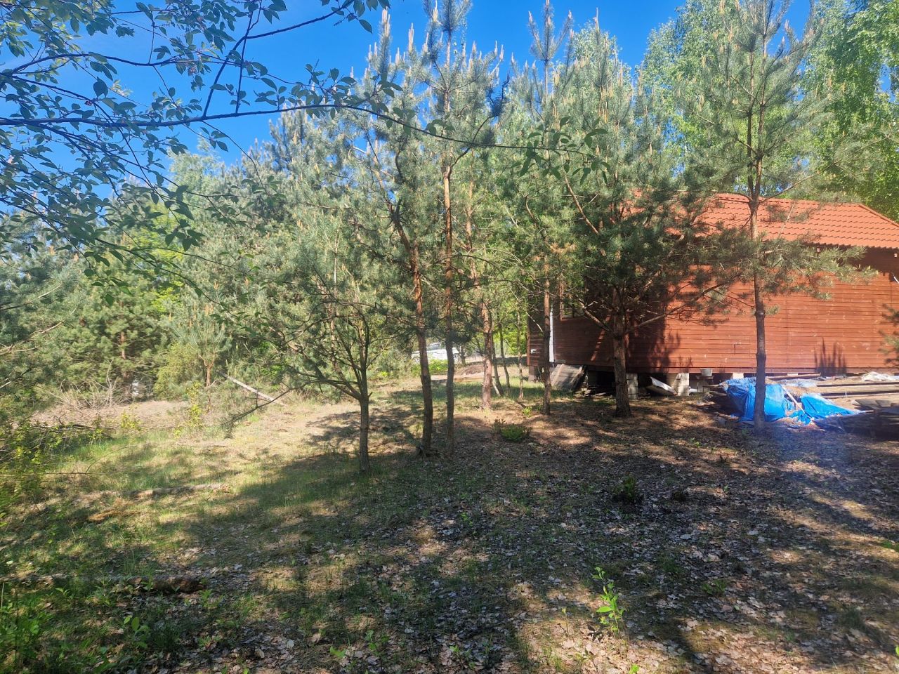 Działka leśna Klukówek. Zdjęcie 8