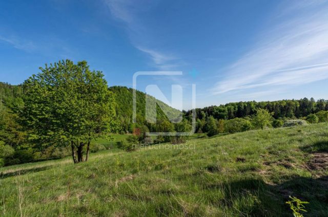 Działka budowlana Wilcza. Zdjęcie 9