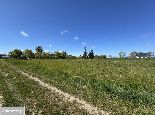 Działka budowlana Starzyno, ul. Kasztanowa. Zdjęcie 1