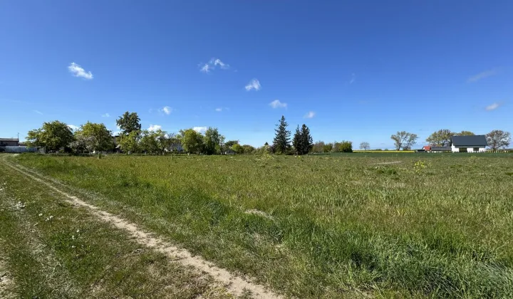 Działka budowlana Starzyno, ul. Kasztanowa