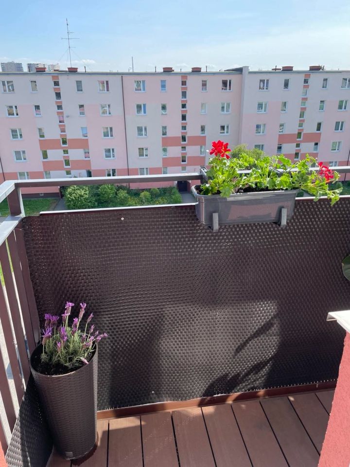 Mieszkanie 2-pokojowe Gdańsk Brzeźno, ul. Łozy. Zdjęcie 6