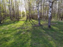 Działka rolna Użmauda. Zdjęcie 3