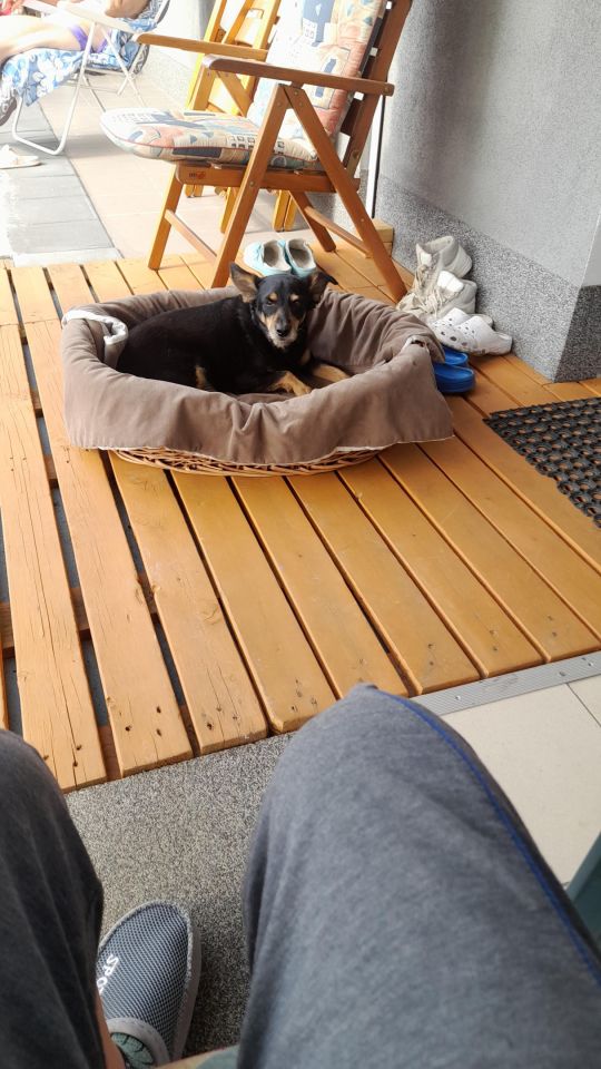 dom wolnostojący, 6 pokoi Wiry. Zdjęcie 14