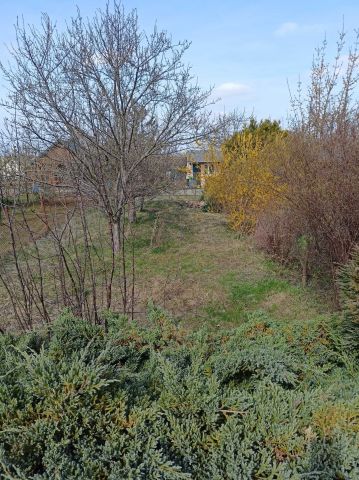 Działka rod Włoszczowa. Zdjęcie 1