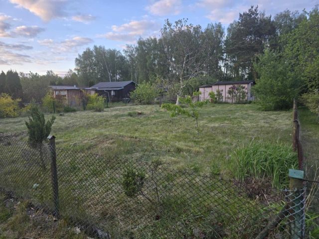 Działka rod Sępólno Krajeńskie. Zdjęcie 1