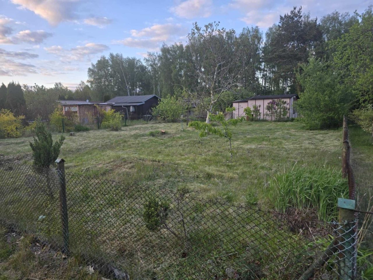 Działka rod Sępólno Krajeńskie