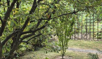 Działka rod Elizówka