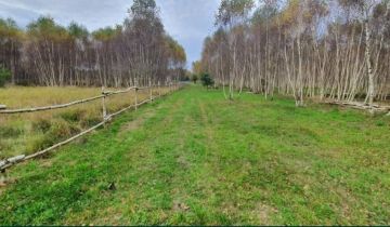 Działka budowlana Strzyżewo Paczkowe