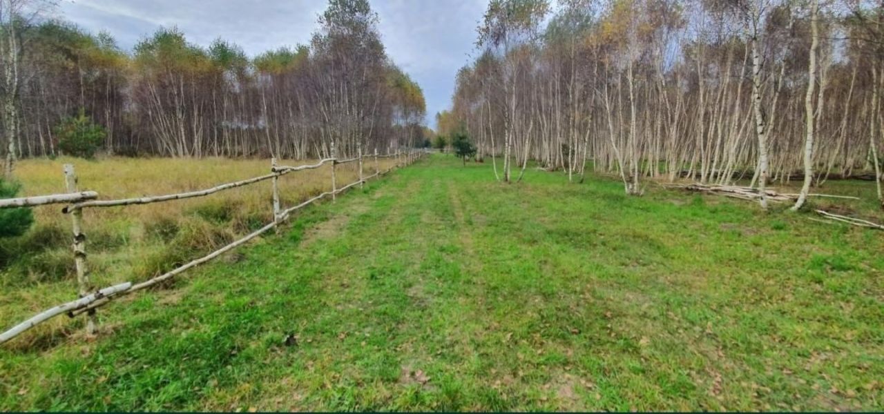 Działka budowlana Strzyżewo Paczkowe