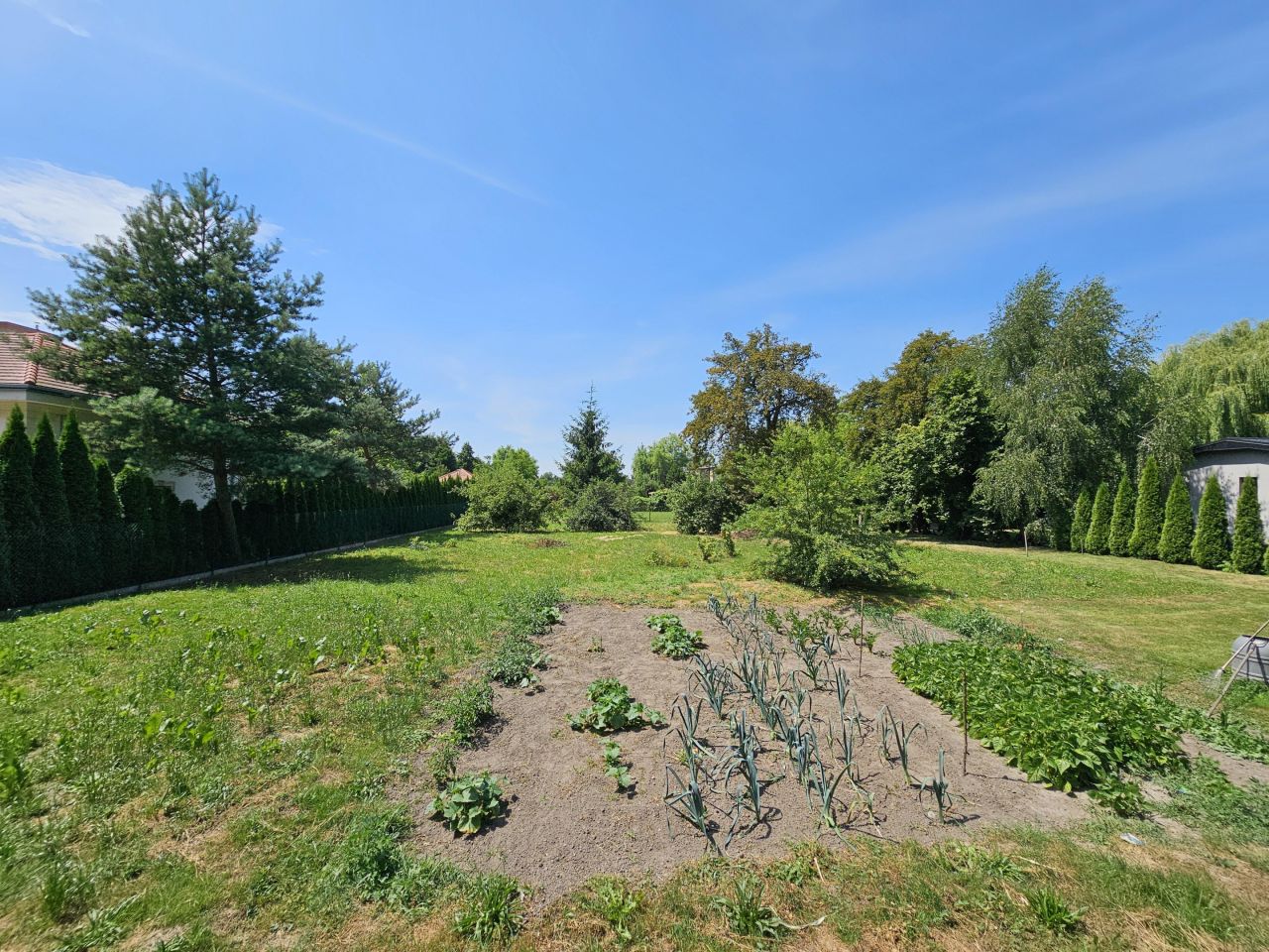 Działka budowlana Lewków, ul. Powstańców Wielkopolskich. Zdjęcie 5