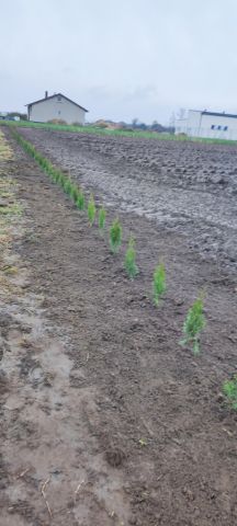 Działka budowlana Uników. Zdjęcie 3