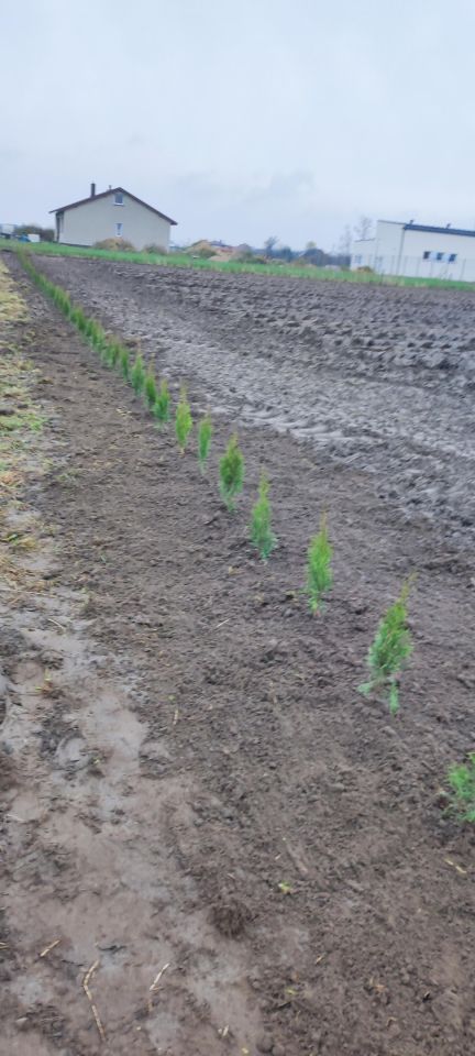 Działka budowlana Uników. Zdjęcie 3