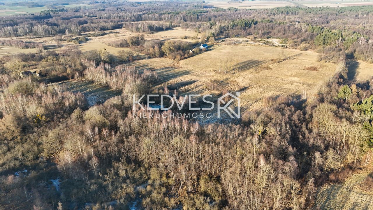 Działka rolna Mariankowo. Zdjęcie 5