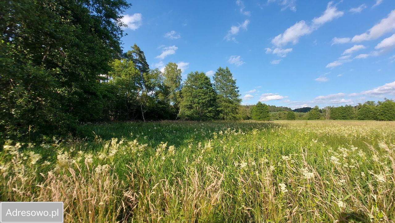 Działka rolna Smorawina. Zdjęcie 3