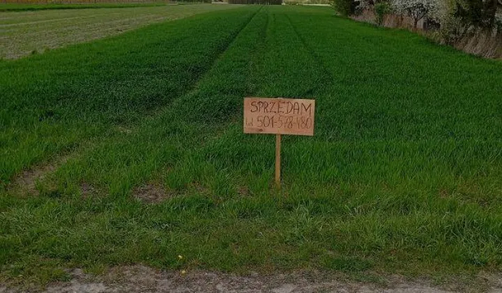 Działka rolno-budowlana Ustrzesz