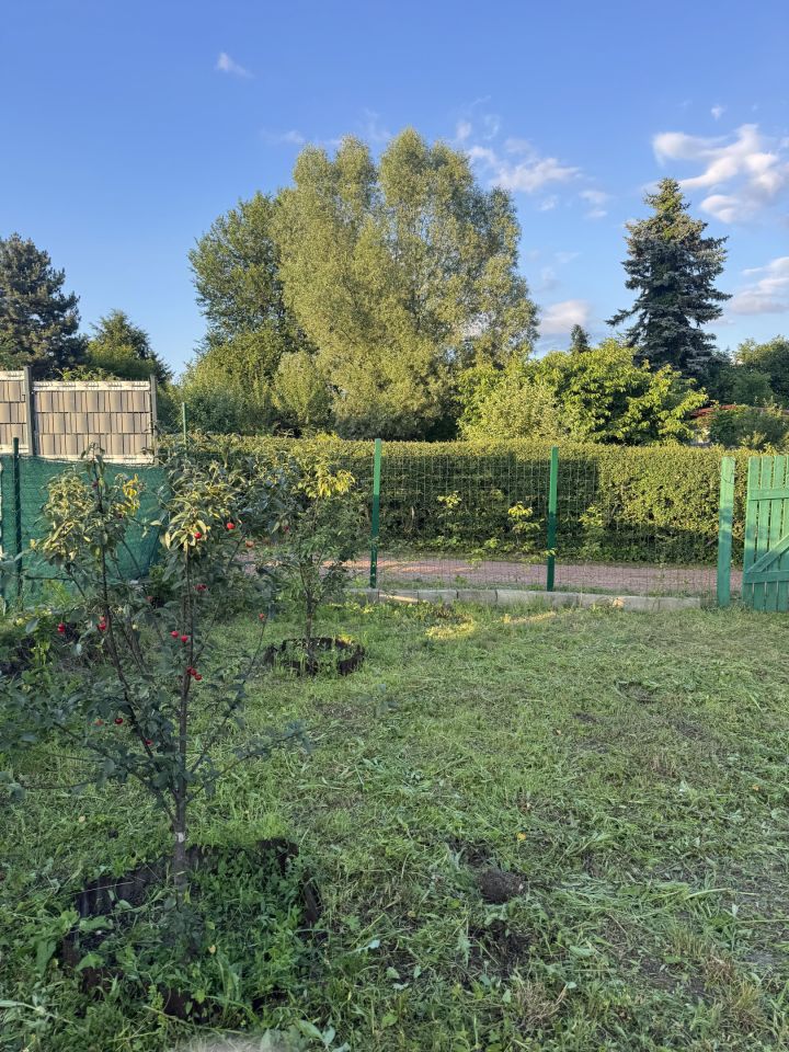 Działka rod Zabrze Biskupice, ul. Ogrodowa. Zdjęcie 3