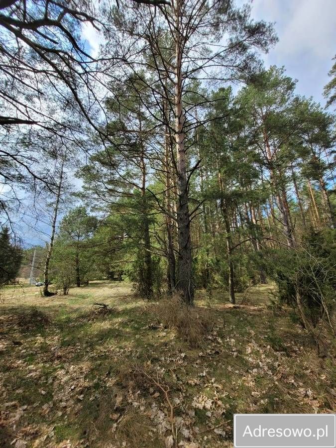 Działka rekreacyjna Mącice. Zdjęcie 3
