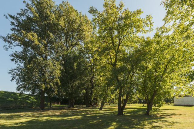 Działka budowlana Opacz. Zdjęcie 16