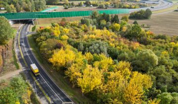 Działka inwestycyjna Sady, ul. Główna