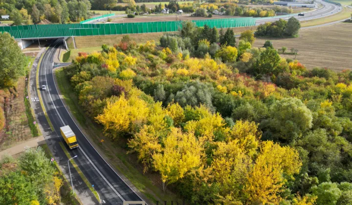 Działka inwestycyjna Sady, ul. Główna