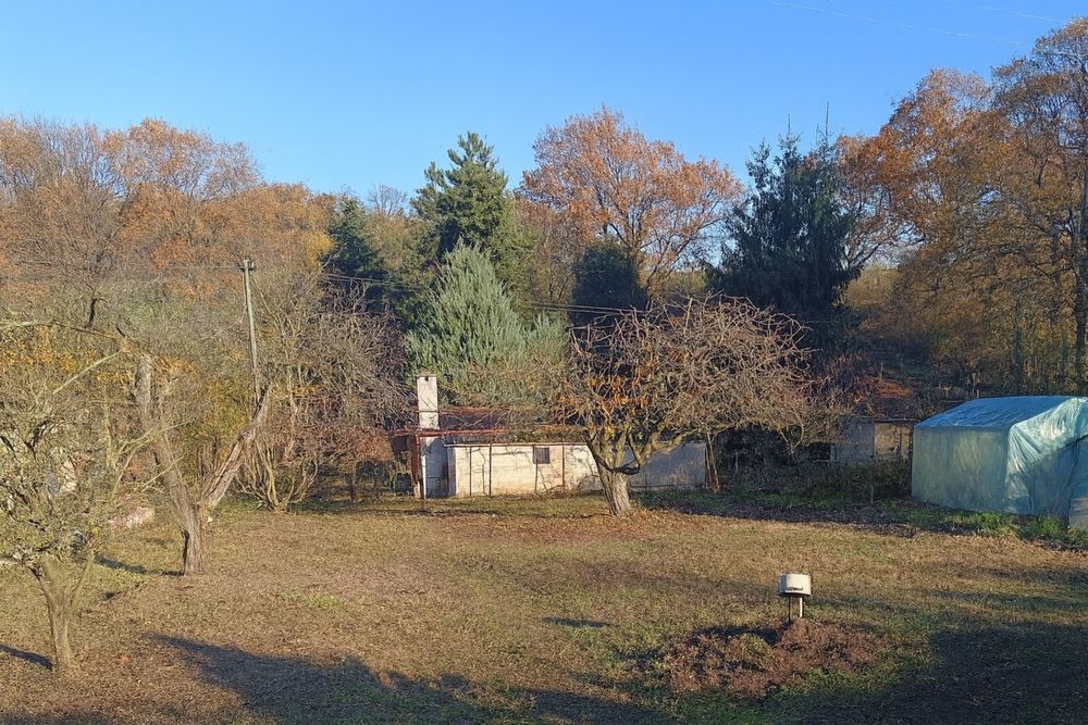 Działka rod Gostyń. Zdjęcie 2