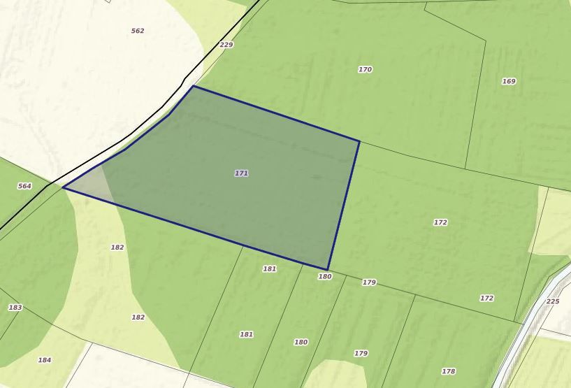 Działka leśna Nowa Jastrząbka Podsmykowe. Zdjęcie 2