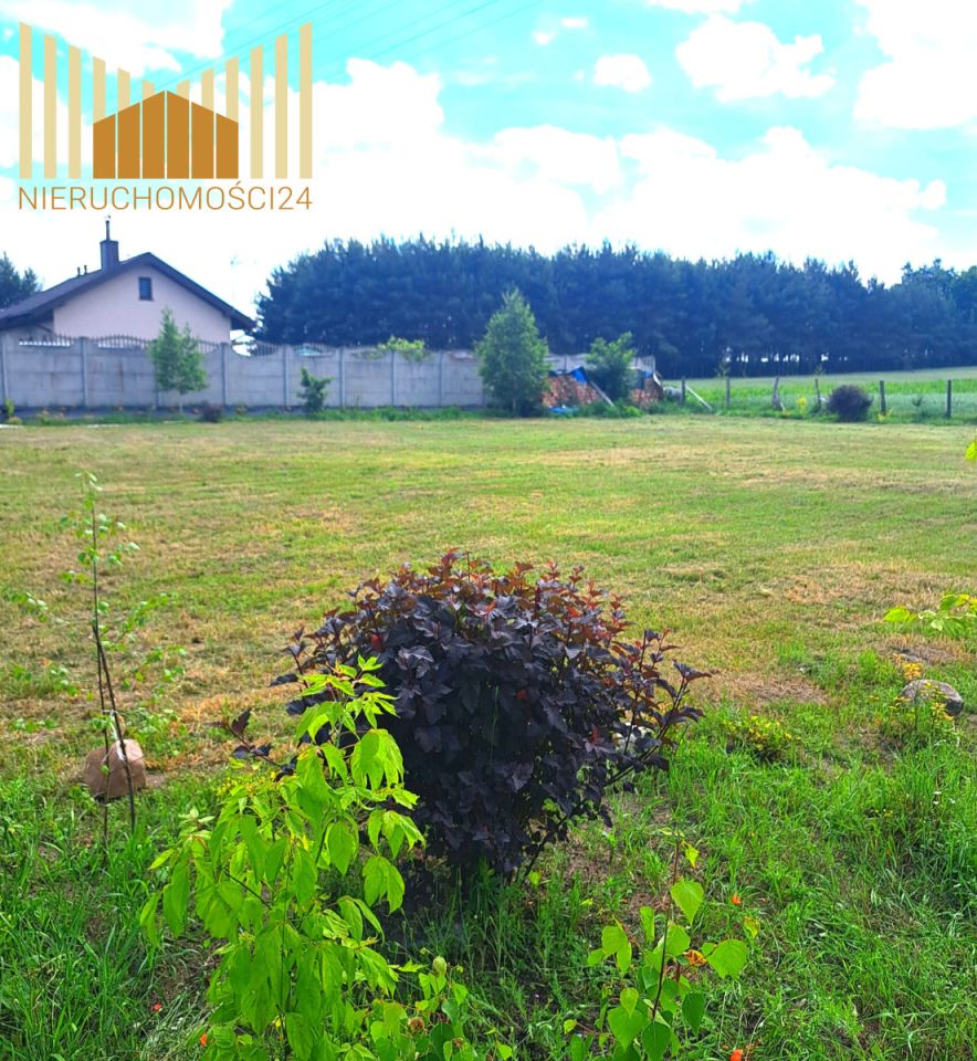 Działka siedliskowa Mrozy. Zdjęcie 2