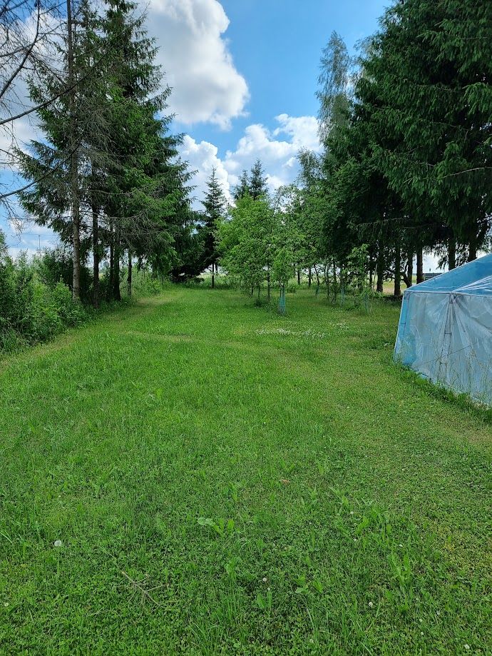 Działka rolno-budowlana Augustów Borki, ul. Rajgrodzka. Zdjęcie 5