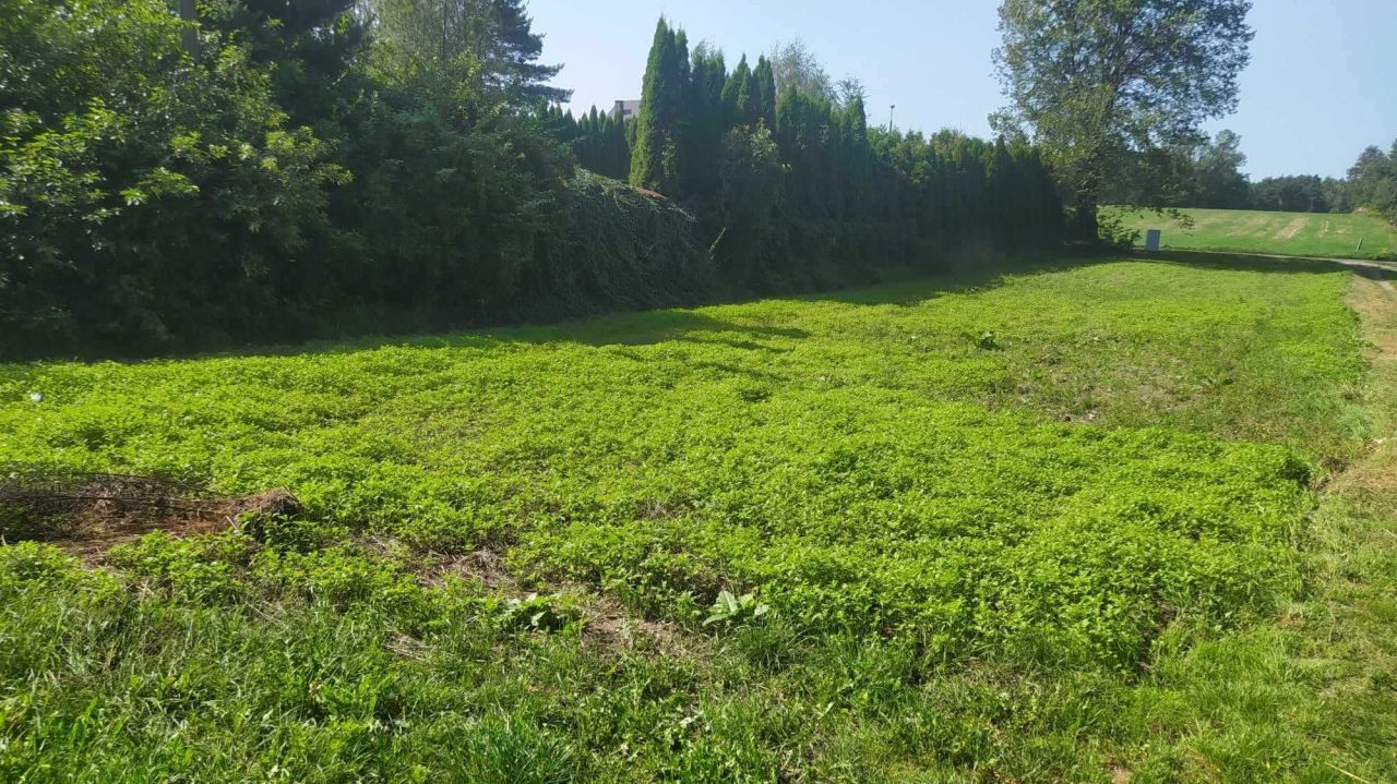 Działka budowlana Stare Skoszewy. Zdjęcie 3