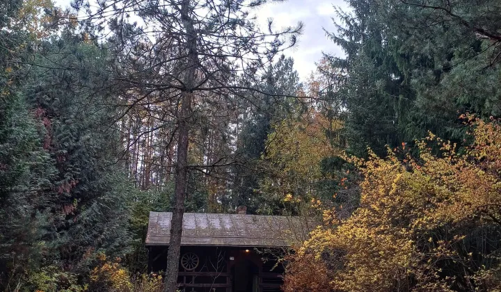 dom letniskowy Borków