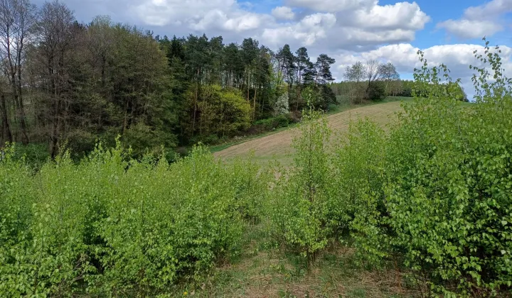 Działka budowlana Kretowiny