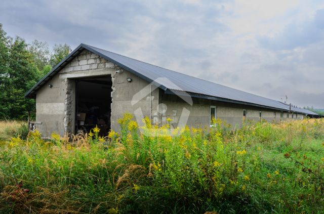 Hala/magazyn Rogoźnica. Zdjęcie 4