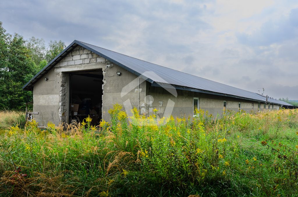 Hala/magazyn Rogoźnica. Zdjęcie 4