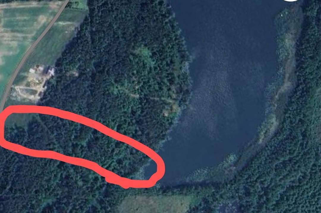 Działka rolno-budowlana Wiele, Zielona. Zdjęcie 11