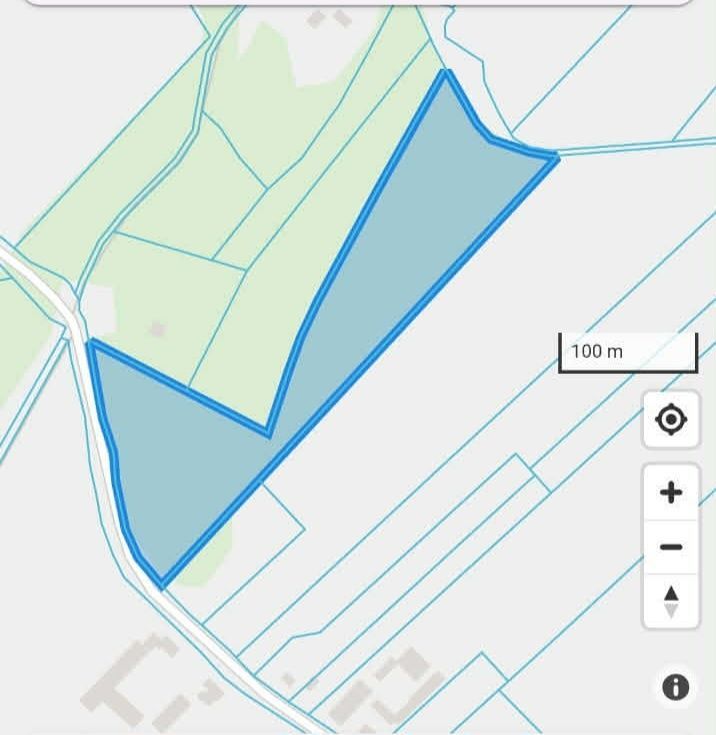 Działka leśna Nowe Grodziczno. Zdjęcie 3