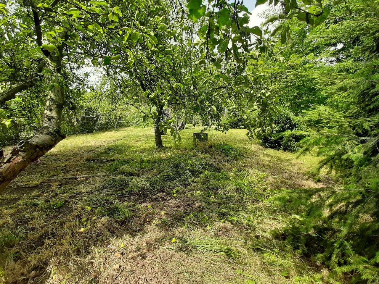 Działka rod Gliwice Śródmieście, ul. Feliksa Orlickiego. Zdjęcie 6