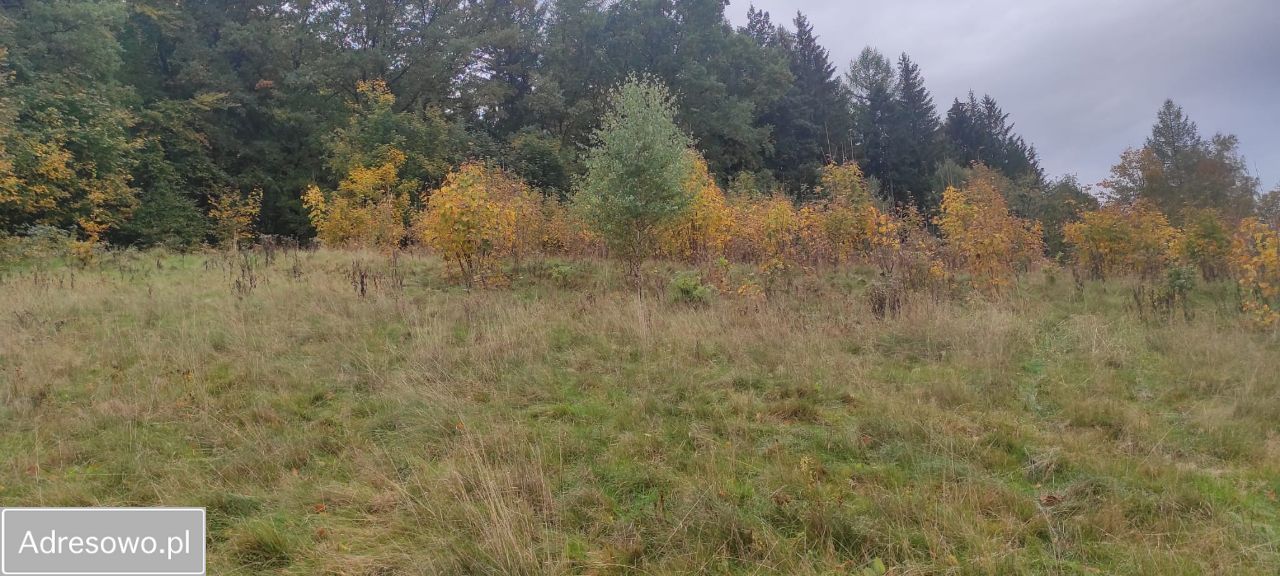 Działka budowlana Świeradów-Zdrój