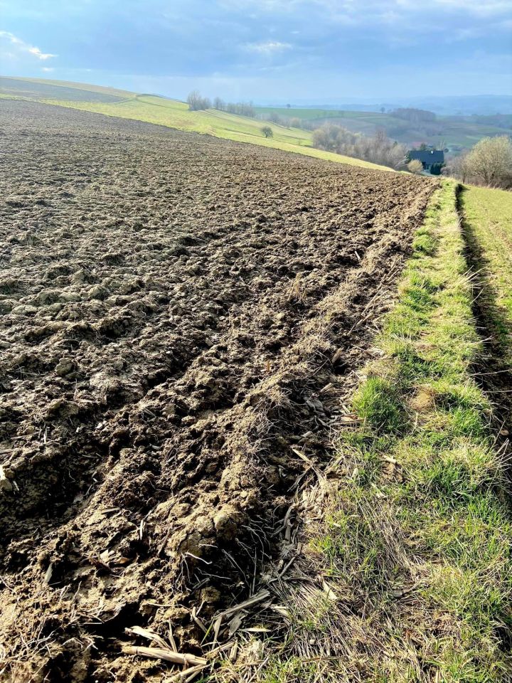 Działka rolna Jaszczurowa. Zdjęcie 4