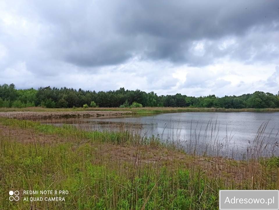 Działka inwestycyjna Nowa Grobla Hamernia. Zdjęcie 5