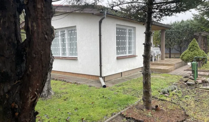 Działka rod Poznań Ławica